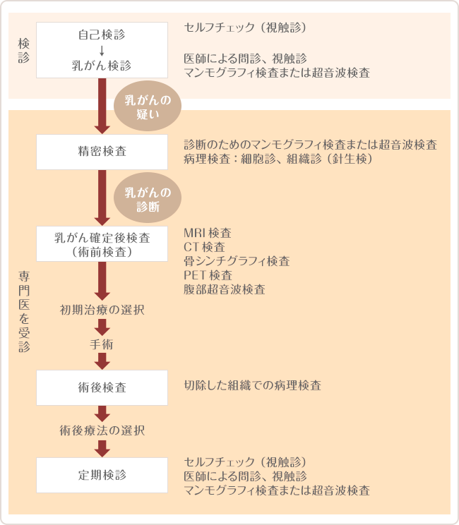 図　乳がんの検診と検査の流れ